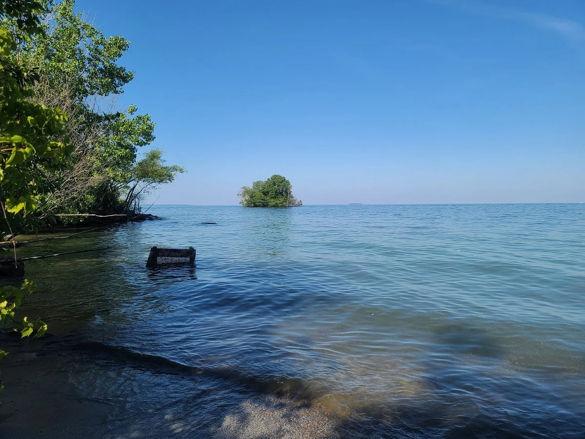 Scheeff East Point Preserve
