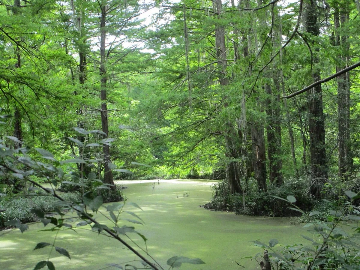 Northlake Nature Center