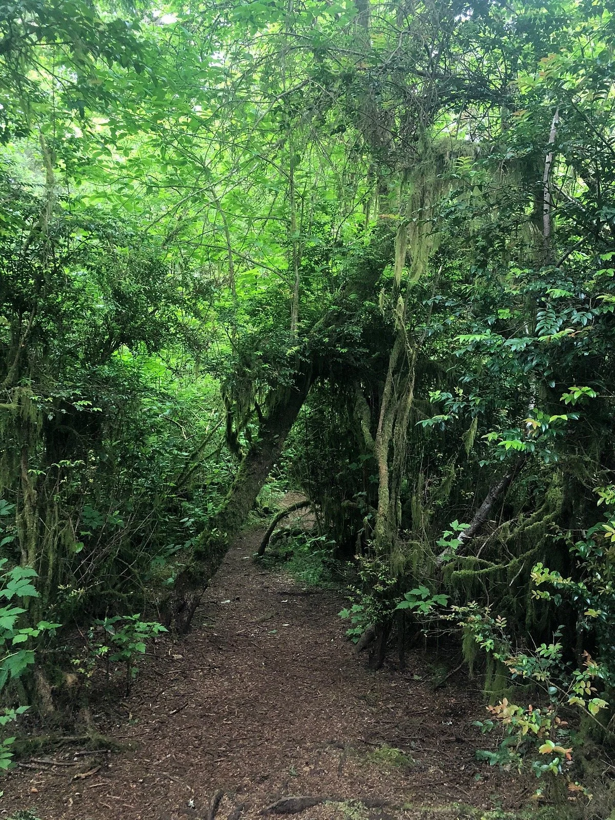 Weatherwax Trail