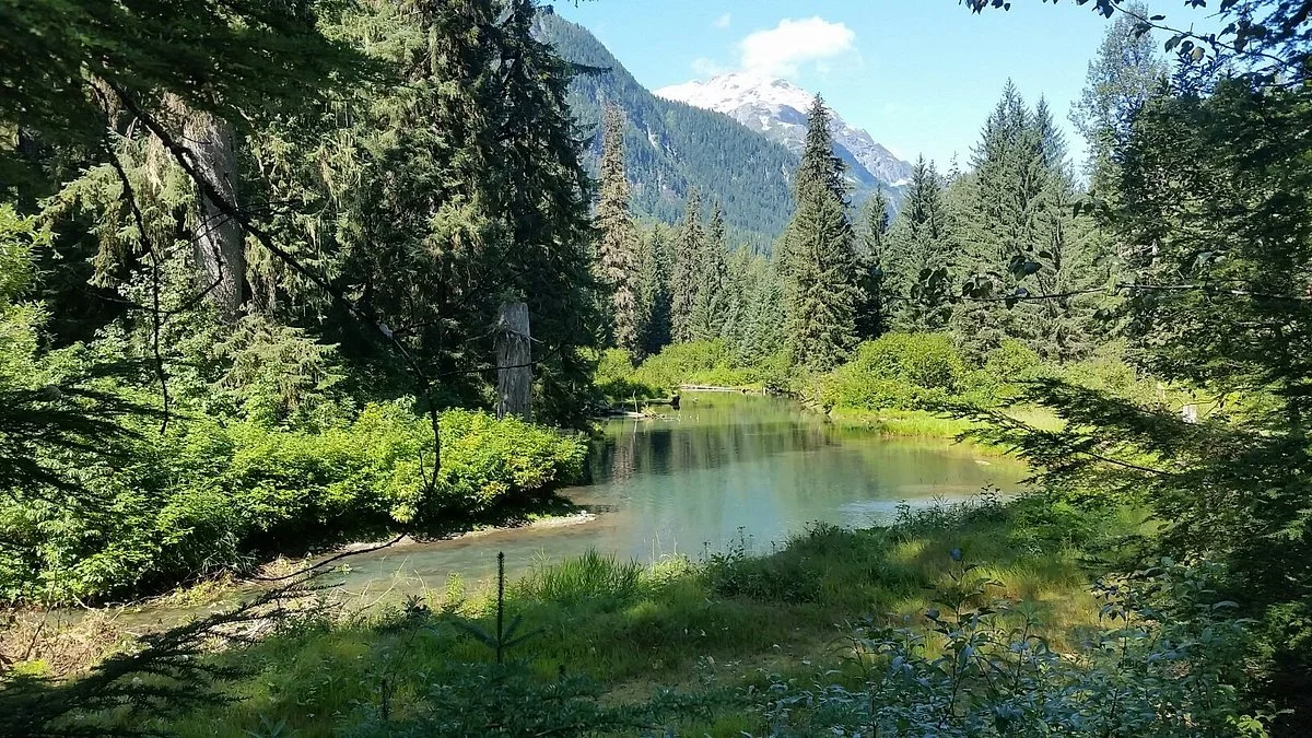 Fish Creek Wildlife Observation Site