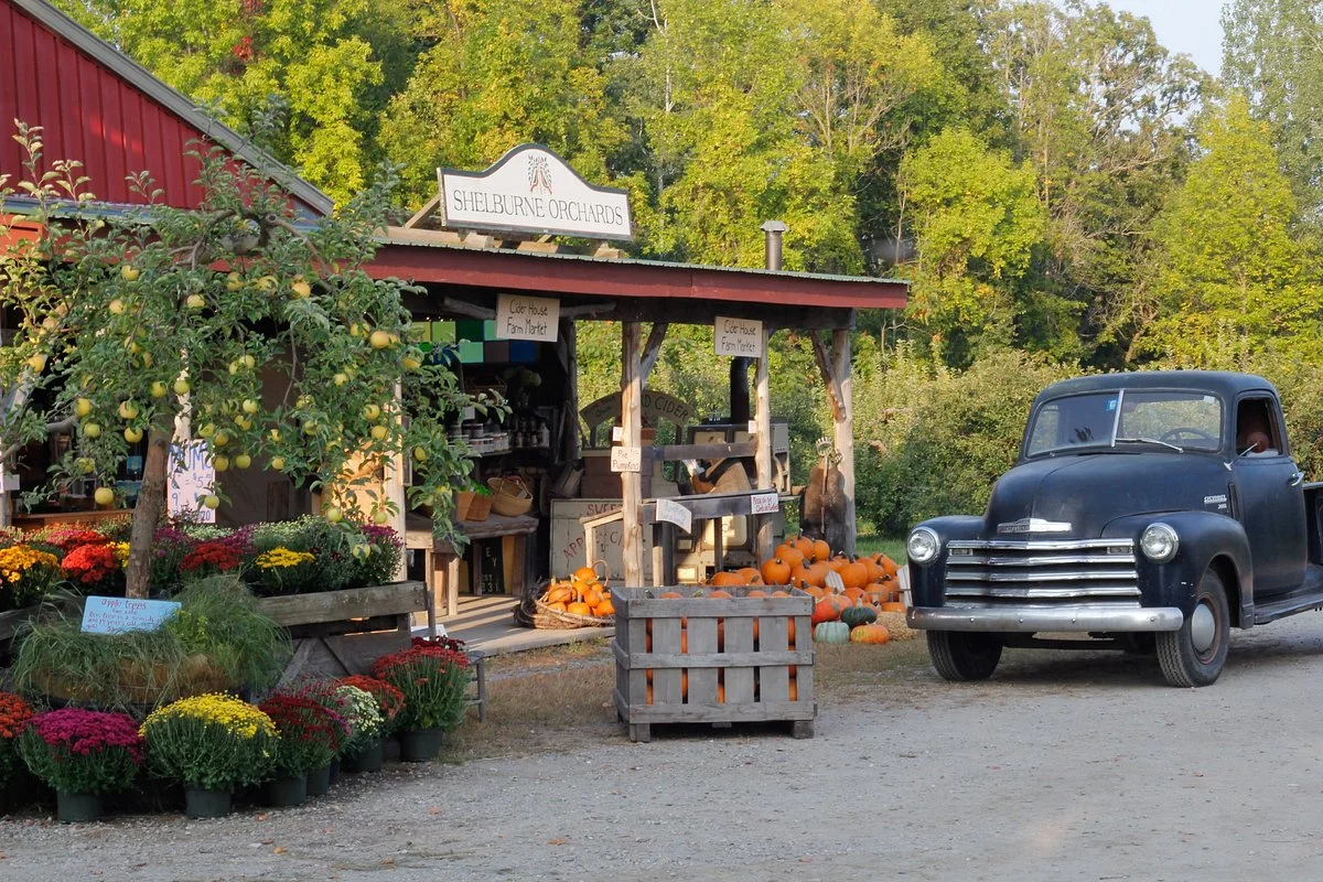 Shelburne Orchards