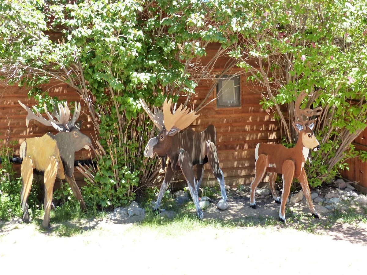Sweety's Wildlife Preserve Art Zoo