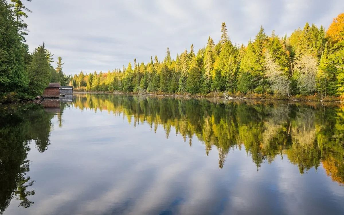 Algonquin Provincial Park