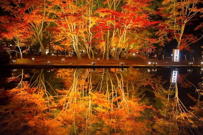 Sogi Park