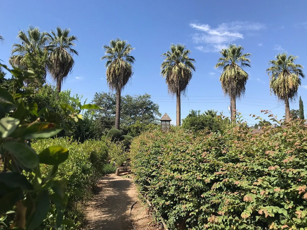 Garden of the Sun