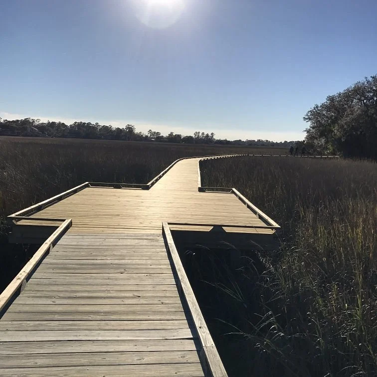 Oatland Island Wildlife Center