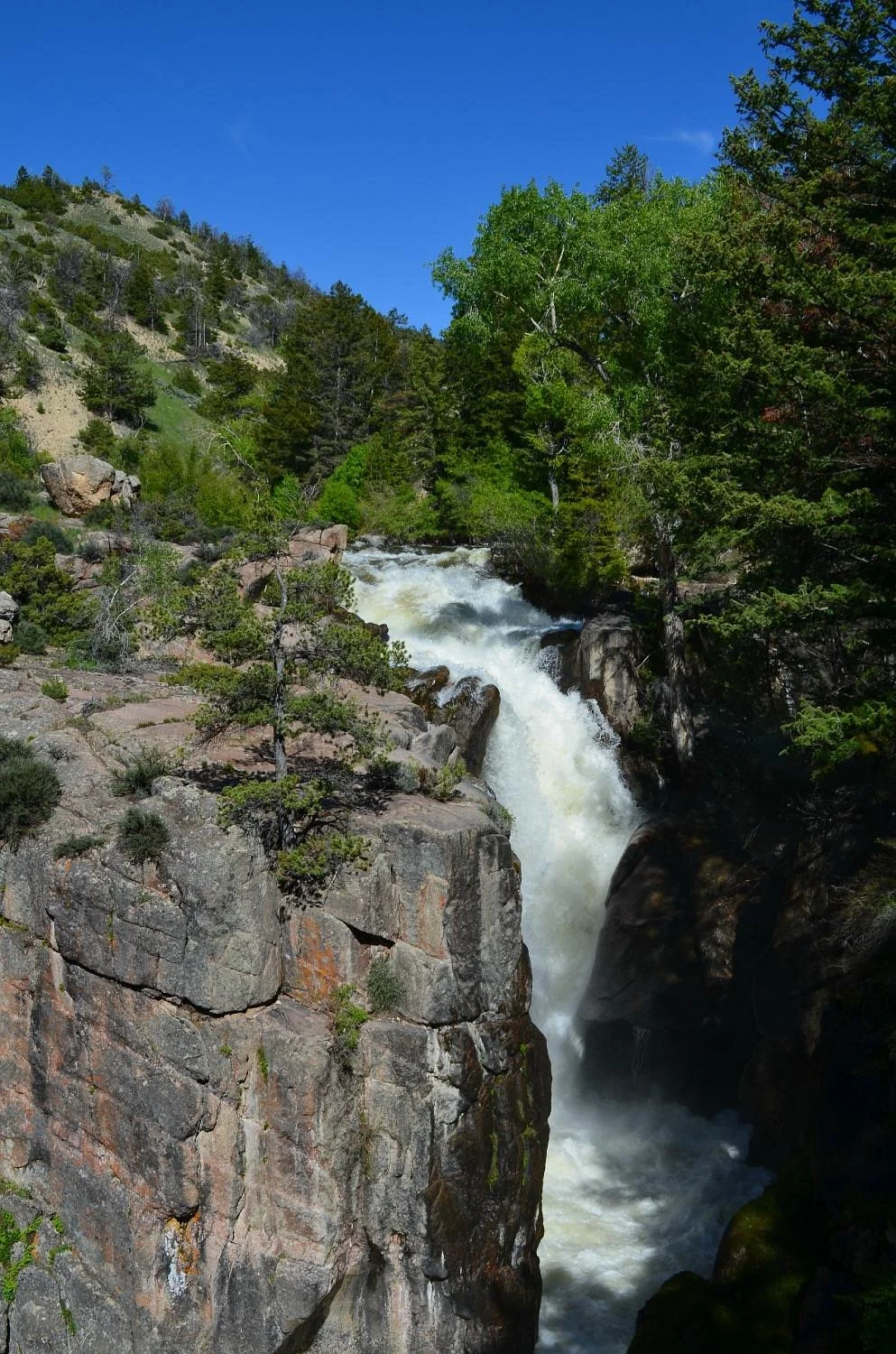 Shell Falls