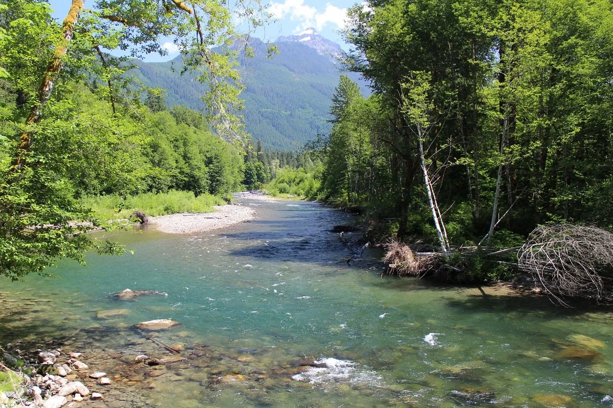 Mountain Loop Highway
