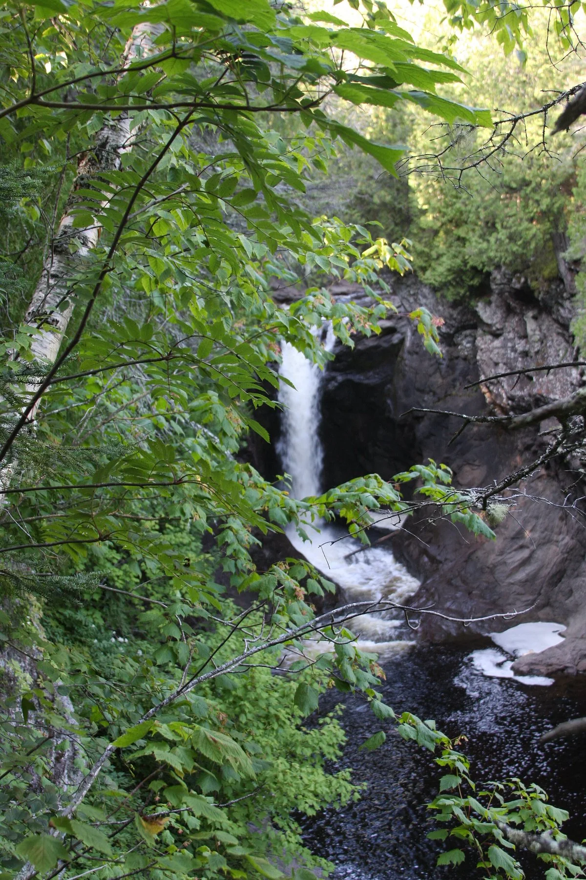 Cacade River