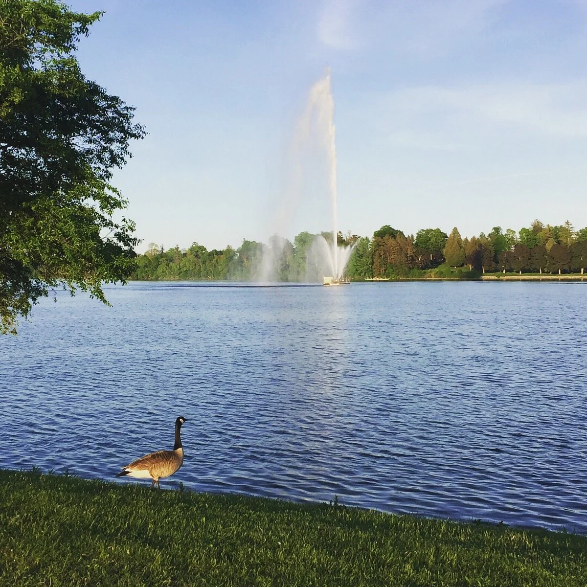 Del Crary Park