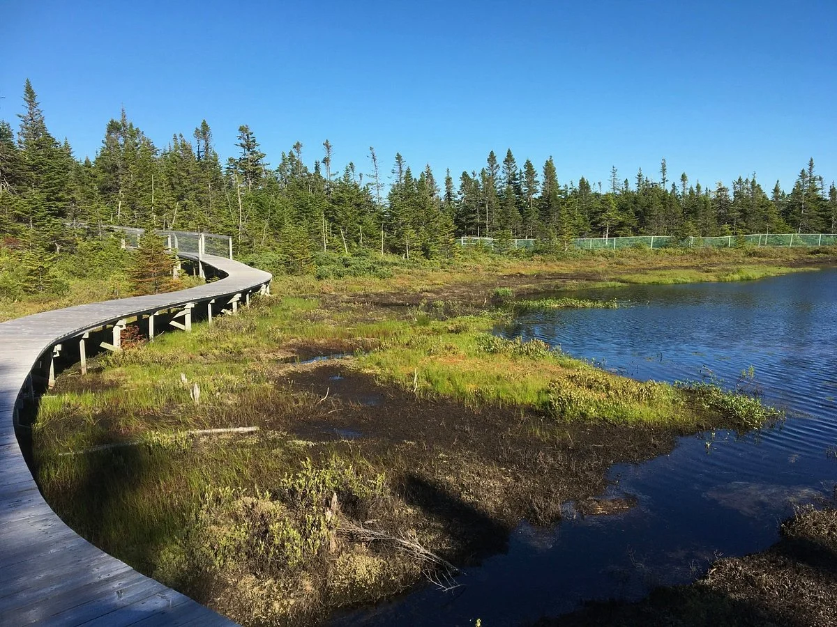 Salmonier Nature Park