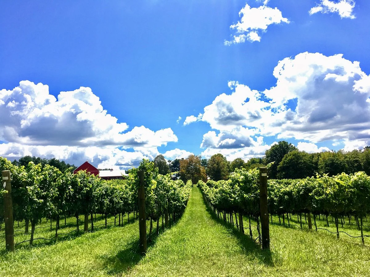 Robin Hill Farm & Vineyards