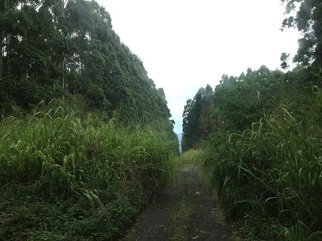 Mud Lane