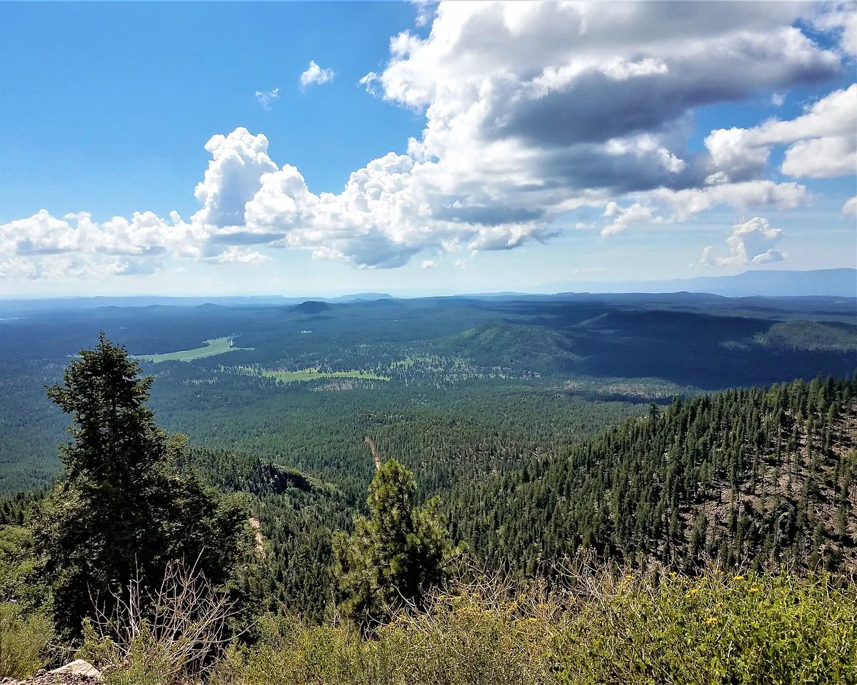 Bill Williams Mountain