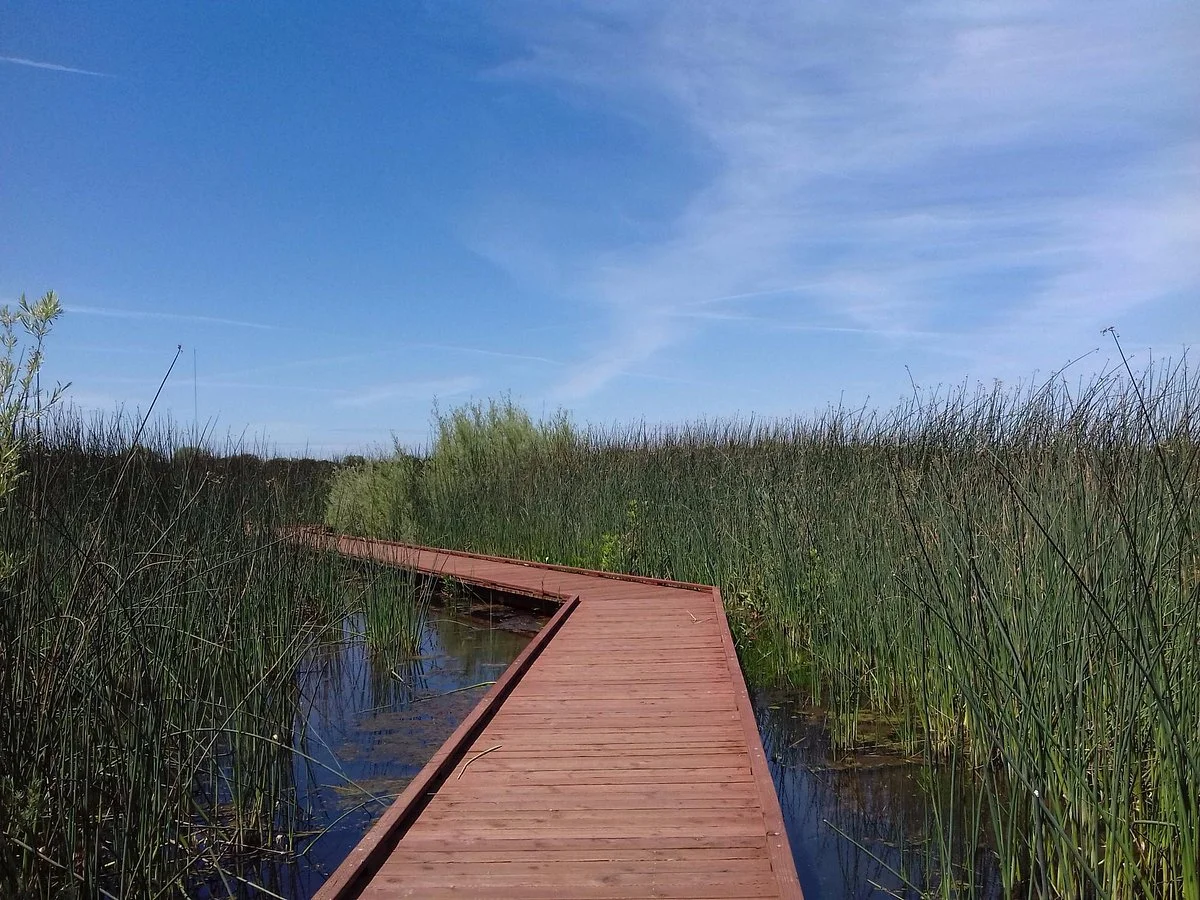 Cosumnes River Preserve