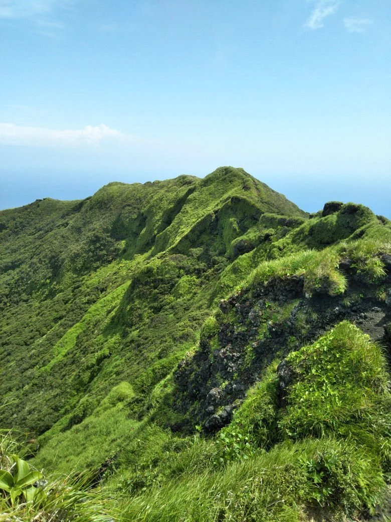 Hachijo Fuji