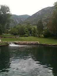 Cold Springs Trout Farm