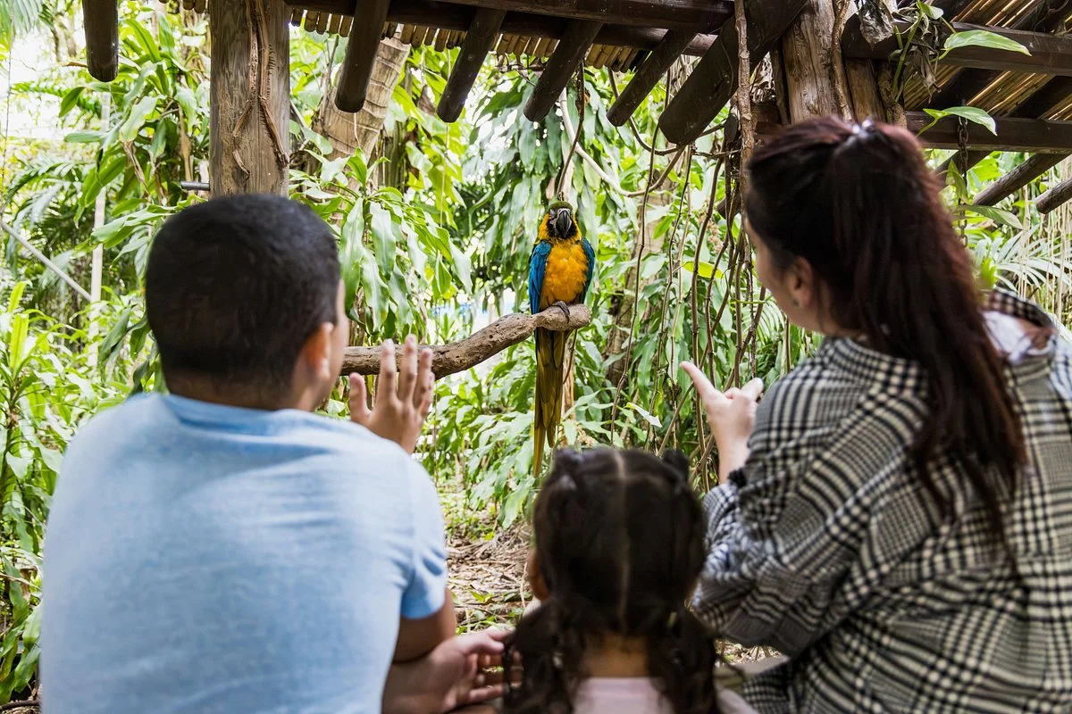 Jungle Island
