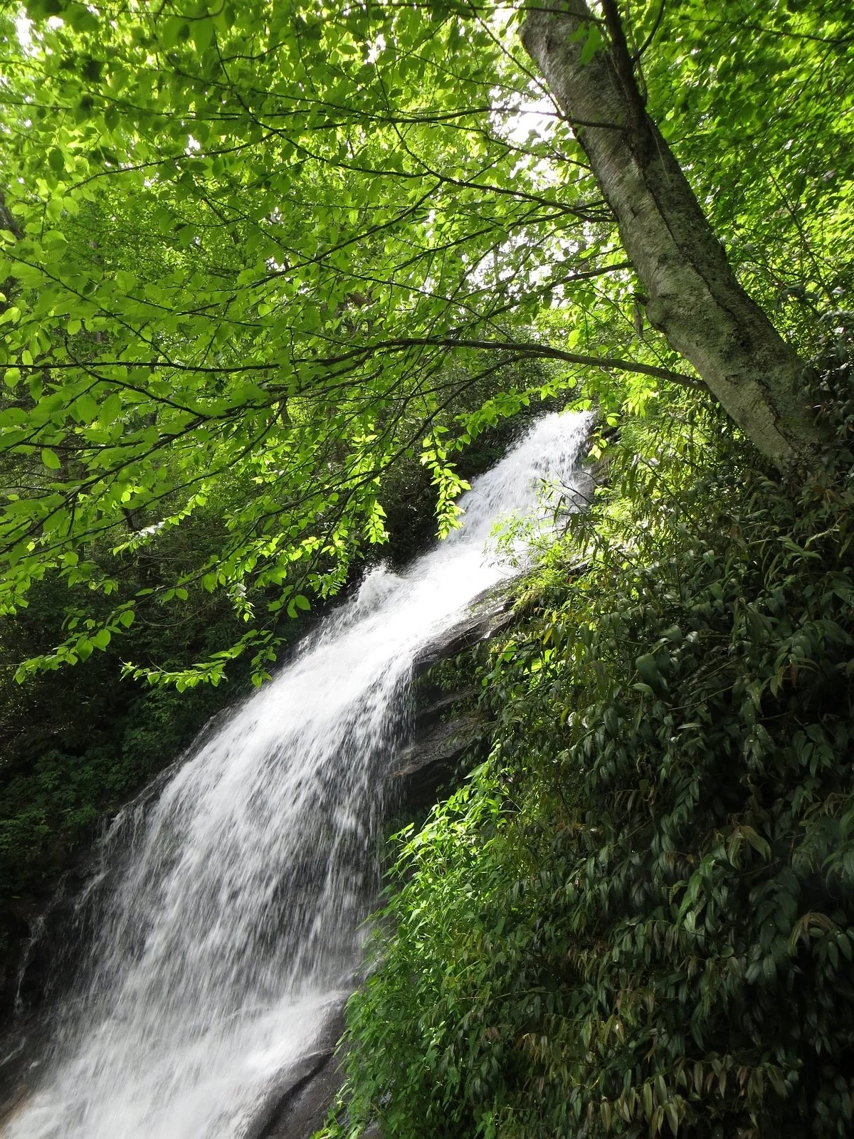 Cascades Falls
