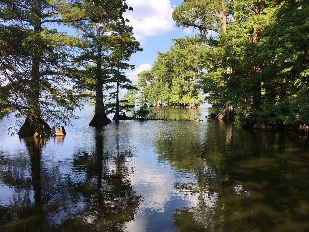 Reelfoot Lake