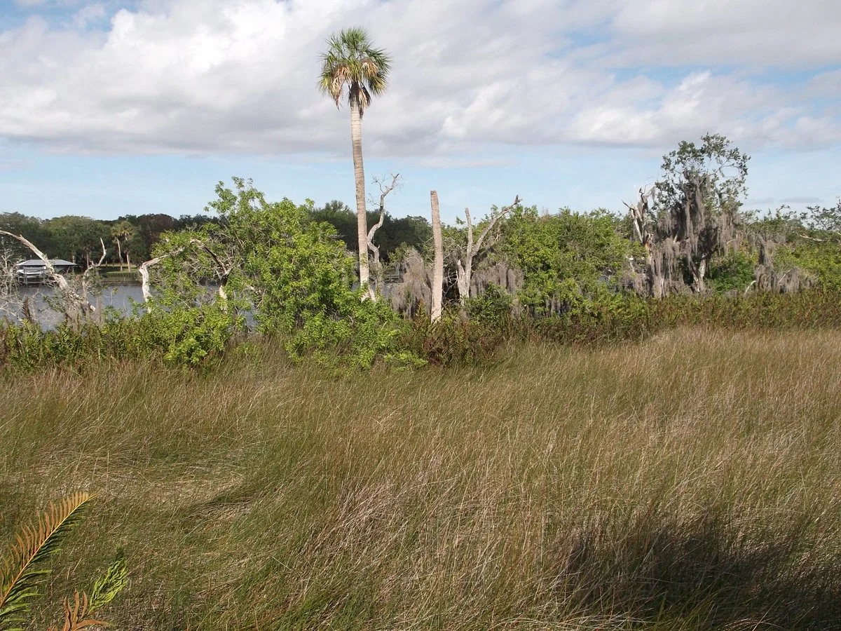 Alafia Scrub Nature Preserve