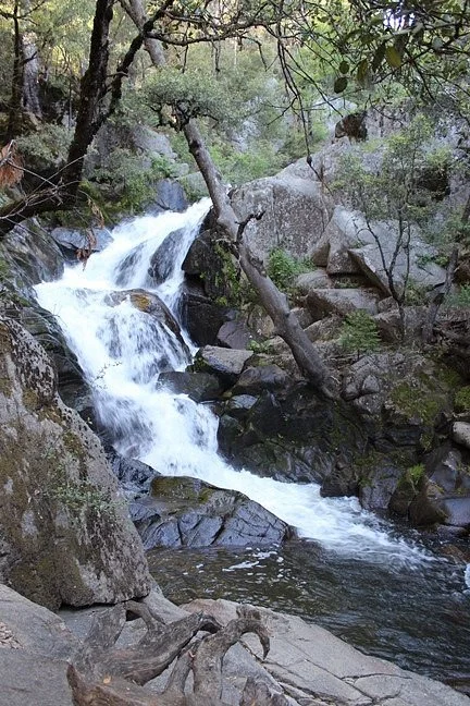Lewis Creek Trail
