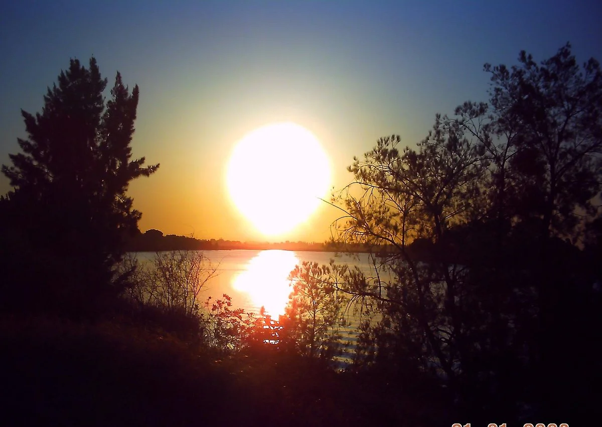 Brannan Island State Park