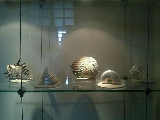 Museo Del Mar Mexico