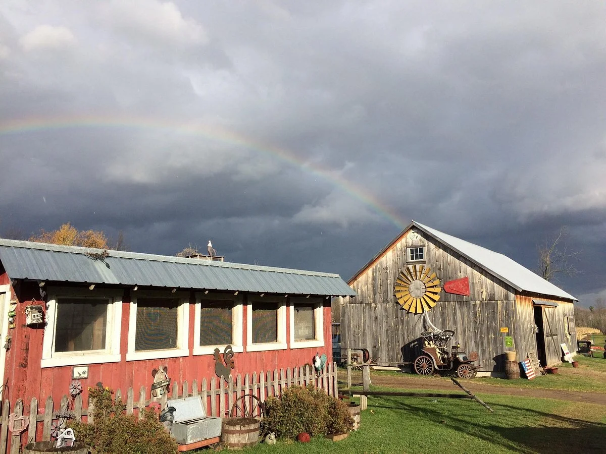 Country Dreams Farm