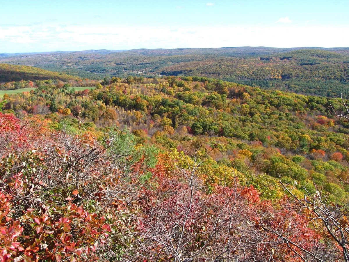 Peaked Mountain