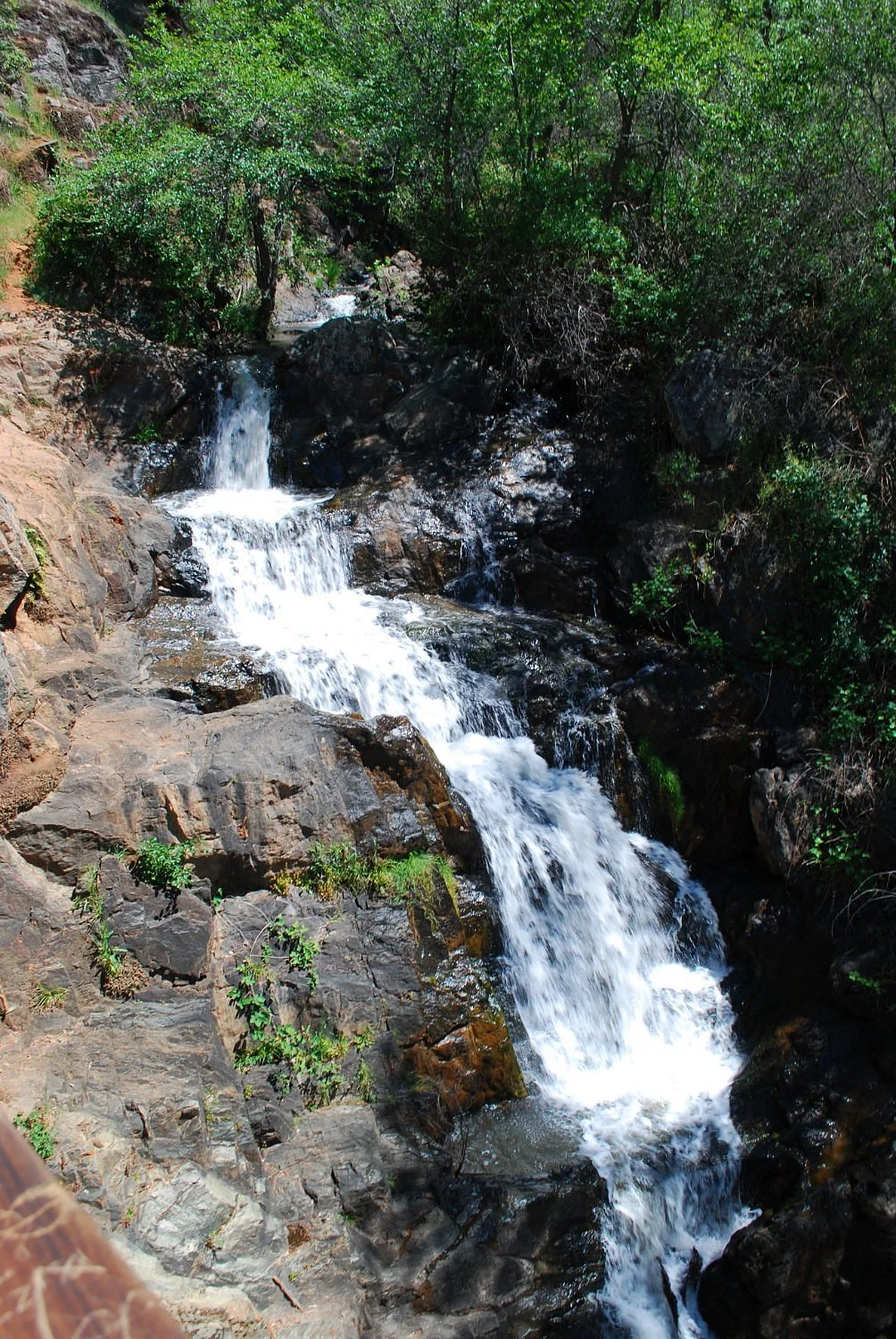 Hidden Falls Regional Park