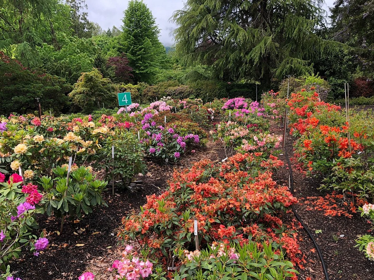 Whitney Gardens and Nursery