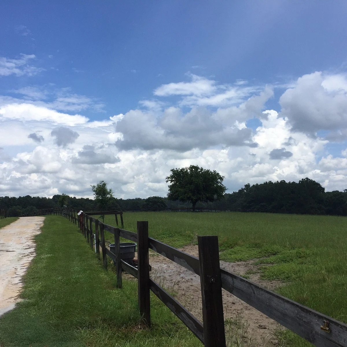 Retirement Home For Horses at Mill Creek Farm