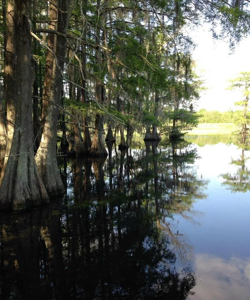Chicot State Park