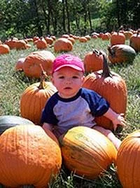 Baldwin Farms