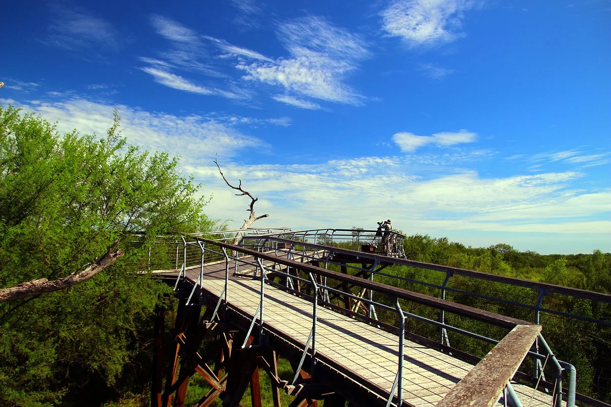 World Birding Center