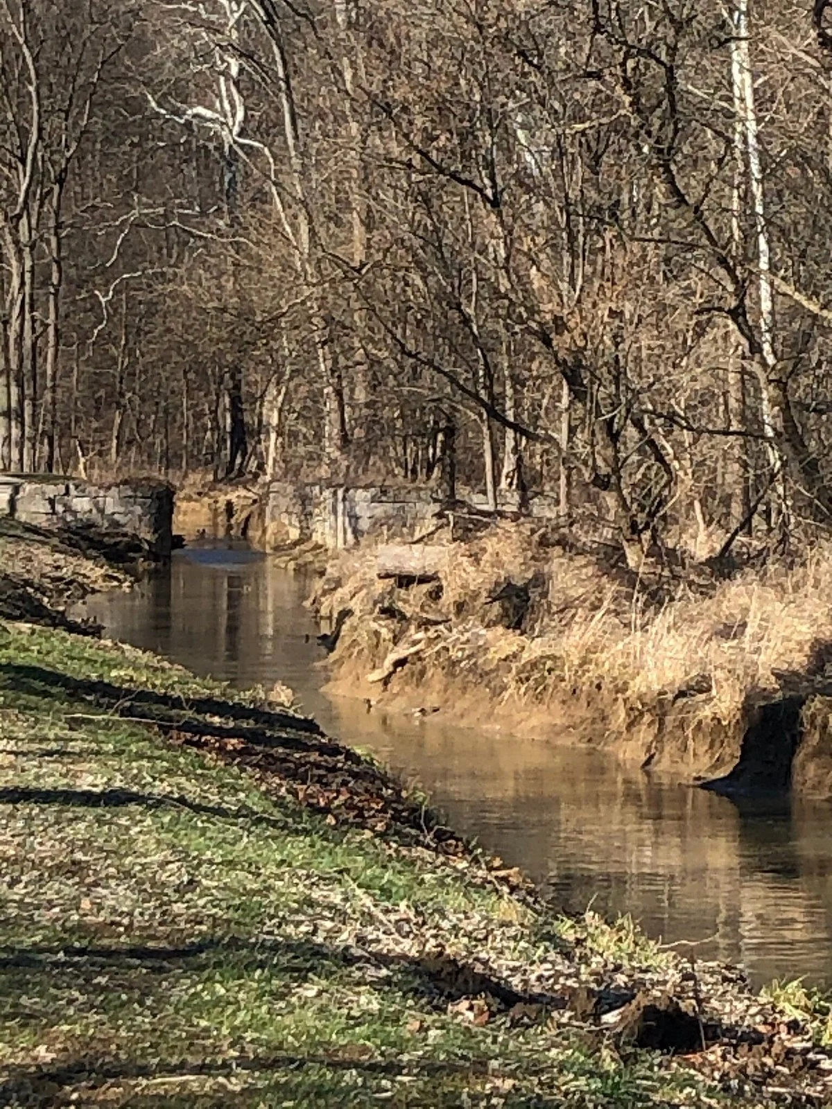 Whitewater Canal Trail