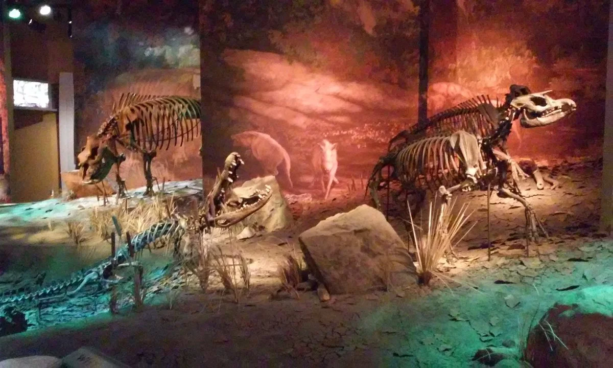 Gray Fossil Site