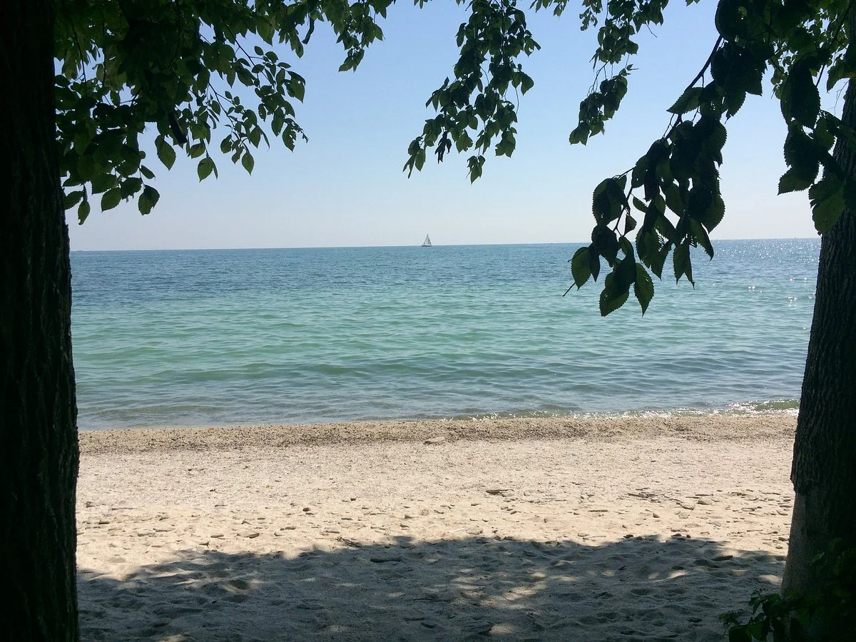 Scheele Preserve