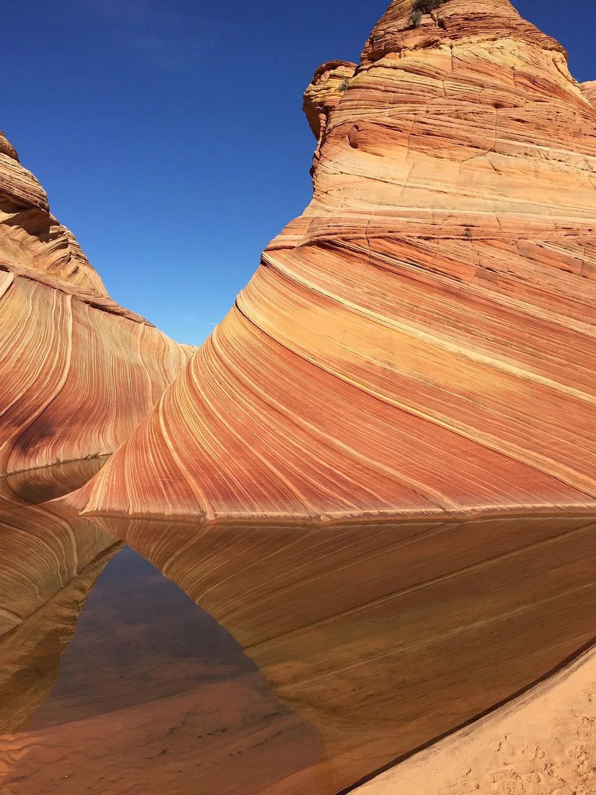Vermillion Cliffs