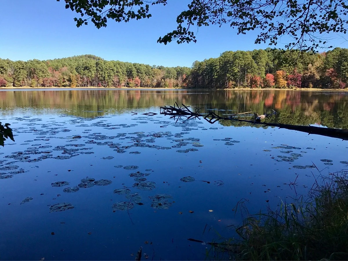 Daingerfield State Park