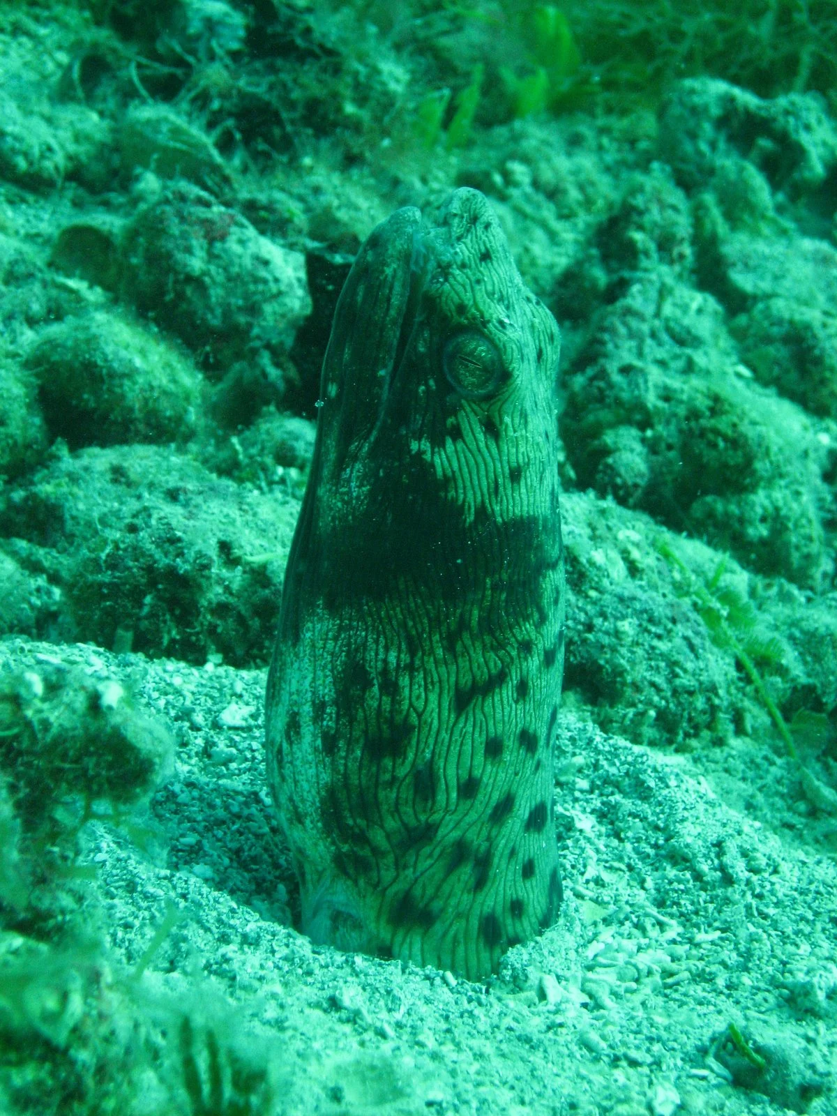 Wreck of the River Taw