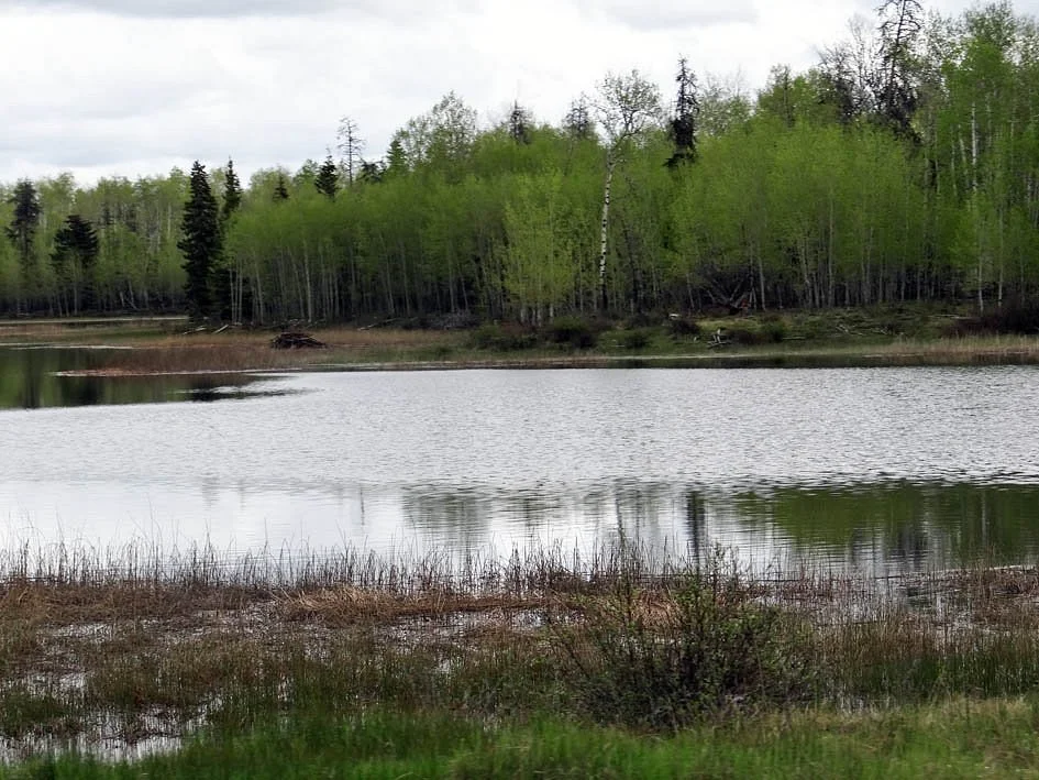 Green Lake Provincial Park