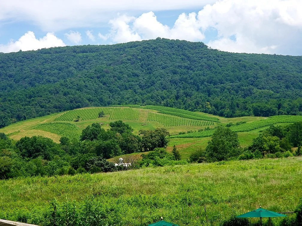 Glen Manor Vineyards