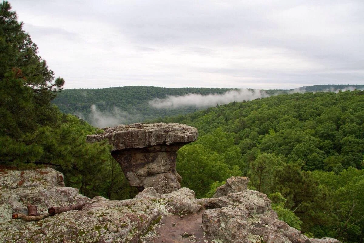Ozark-St. Francis National Forests