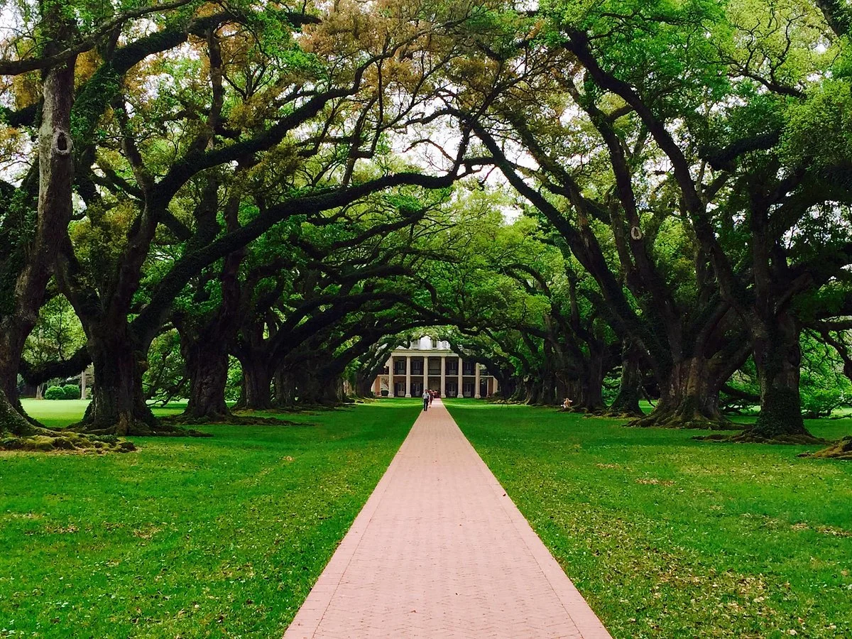 Old River Road Plantation Adventure