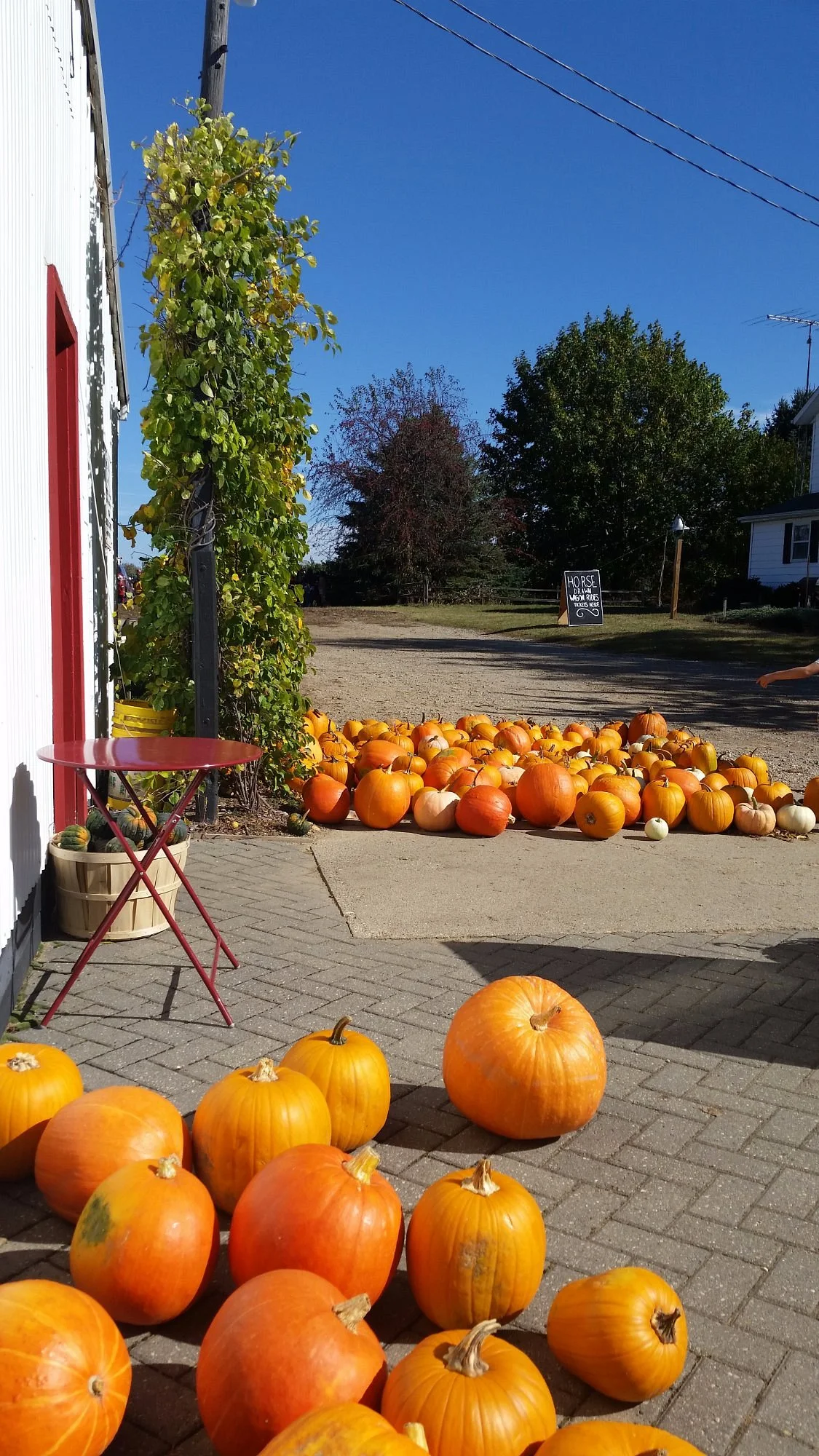 Phillips Orchards & Cider Mill