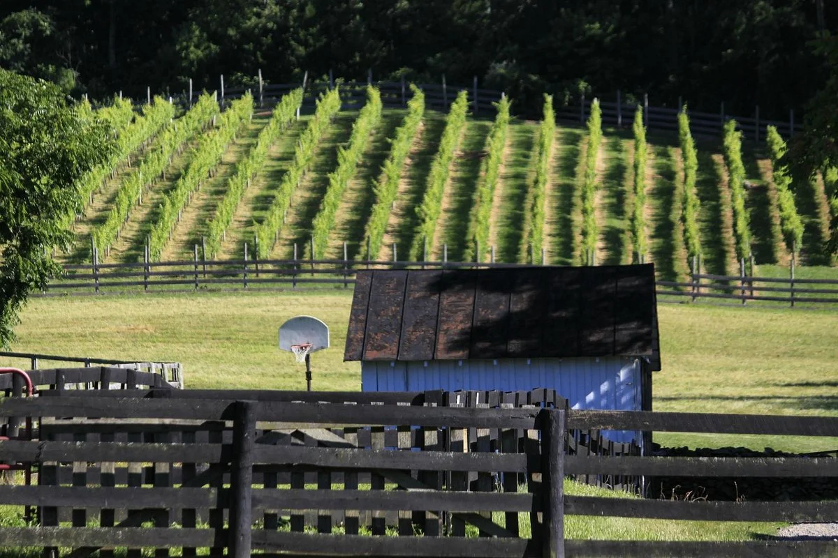 Aspen Dale Winery at the Barn