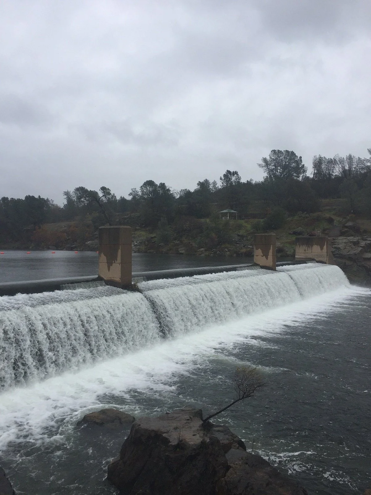 Feather River Fish Hatchery