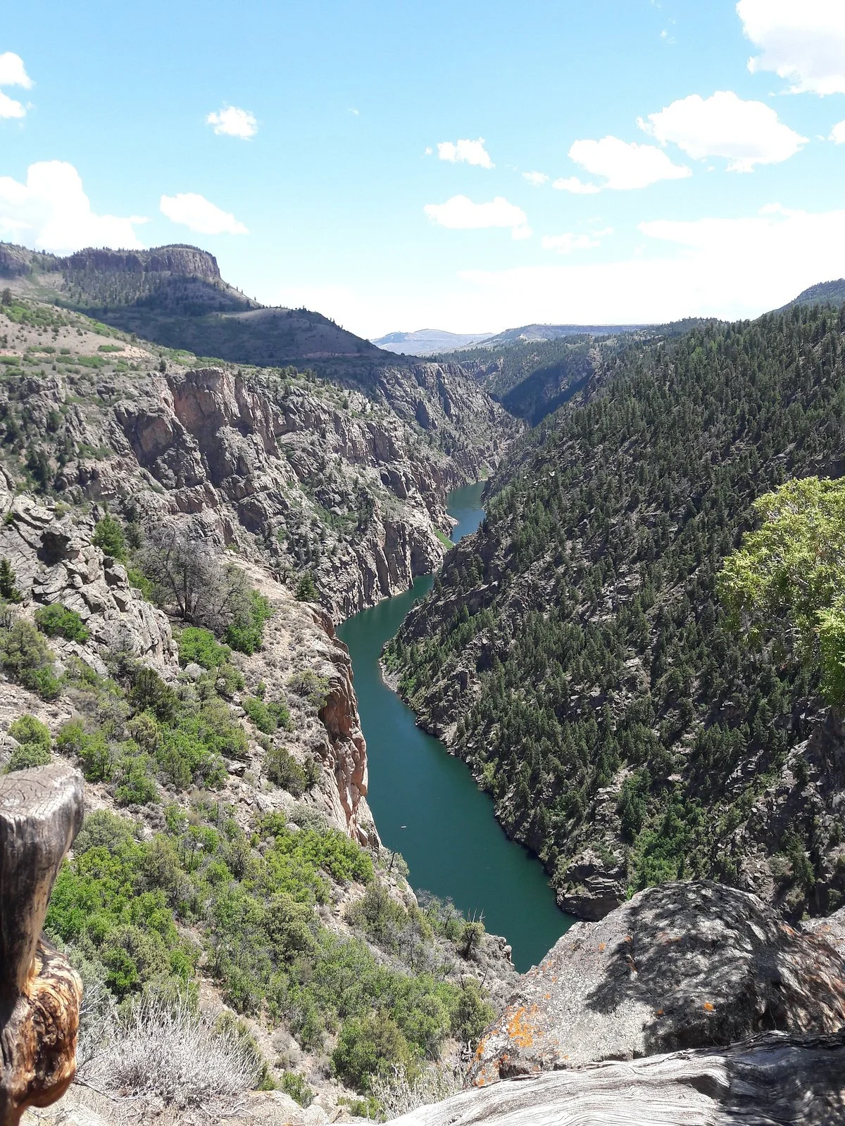 Curecanti Creek